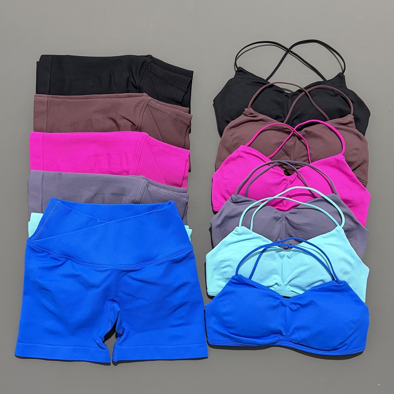 Yoga Y Fitness - 2 peça visão ginásio conjunto feminino